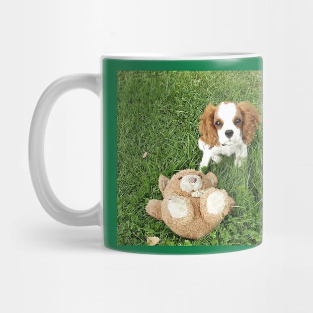 cavalier king charles spaniel blenheim puppy with toy by Wanderingangel